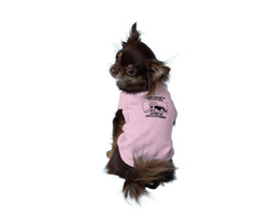 Why people love me .. Even in Halloween? Pet clothing | free-classifieds-usa.com - 1