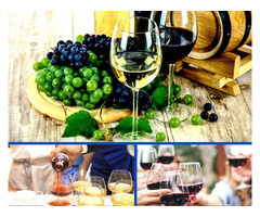 Enjoy Wine. Make Money. It Doesn't Get Any Easier Than This! | free-classifieds-usa.com - 3
