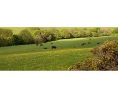 Farm Land For Sale | free-classifieds-usa.com - 1