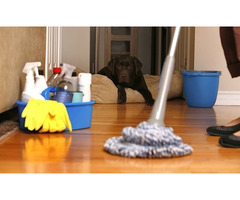 ADD NEW LIFE AND ORDER TO YOUR SPACES WITH MAID CLEANING SERVICES FOR APARTMENTS | free-classifieds-usa.com - 1