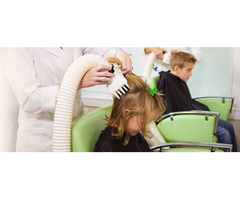 Lice Clinics of America - Thiensville | free-classifieds-usa.com - 1