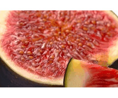 Remain in Good Health by Eating Figs Purchased from Reputed Supplier | free-classifieds-usa.com - 1