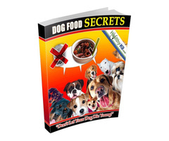 Dirty Secrets of the Dog Food Industry | free-classifieds-usa.com - 1