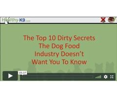 Dirty Secrets of the Dog Food Industry | free-classifieds-usa.com - 2