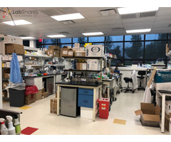 LabShares - Office and Lab Spaces Near Cambridge | free-classifieds-usa.com - 1