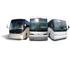 Houston Charter Buses | free-classifieds-usa.com - 1