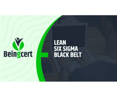  Lean Six Sigma: Lean Solution to Business Success - Beingcert  | free-classifieds-usa.com - 1