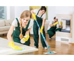 Professional House Cleaning | free-classifieds-usa.com - 1