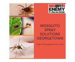 Mosquito Spray Solutions | free-classifieds-usa.com - 1