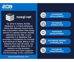 No SQL Database Development | Ace Infoway | free-classifieds-usa.com - 1