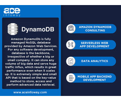 Amazon DynamoDB Development | Ace Infoway | free-classifieds-usa.com - 1