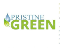 PristineGreen Upholstery and Carpet Cleaning - New York | free-classifieds-usa.com - 4