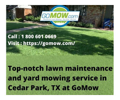 Top-notch lawn maintenance and yard mowing service in Cedar Park, TX at GoMow | free-classifieds-usa.com - 1