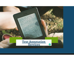 Get High-Quality Text Annotation Services For AI at Effective Rates | free-classifieds-usa.com - 1