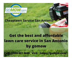 Get the best and affordable lawn care service in San Antonio by Gomow | free-classifieds-usa.com - 1