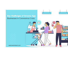 Benefits of On-Demand Grocery App Development During Covid-19 Outbreak | free-classifieds-usa.com - 2