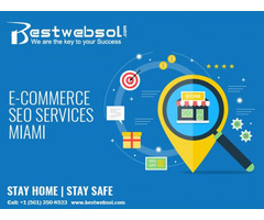 Get Best E-commerce-Seo-Services in Miami from Best Web Solutions | free-classifieds-usa.com - 1