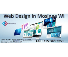 Web Design in Mosinee WI - Prosperity Design Studios | free-classifieds-usa.com - 1