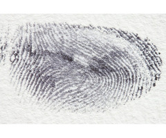 US Court of Appeals: Fingerprint Evidence May be Insufficient | free-classifieds-usa.com - 1