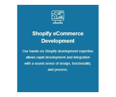 Hire Shopify Experts With A Vast Experience, USA | free-classifieds-usa.com - 2