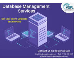 VSPL Provides Database Management Services to Get your Entire Database at One Place | free-classifieds-usa.com - 1