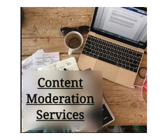 Leverage supreme-Quality Content Moderation Services Offered by Damco | free-classifieds-usa.com - 1