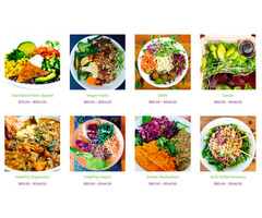 Vegan Meal Plans | free-classifieds-usa.com - 1