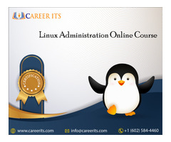Online IT Training Courses website | free-classifieds-usa.com - 2