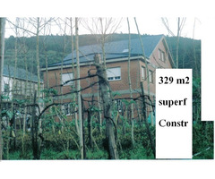 Rural Home property & Grove Walnut Spanish leisure project | free-classifieds-usa.com - 3