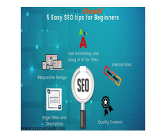seo management services in US | free-classifieds-usa.com - 1