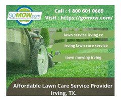 Affordable Lawn Care Service Provider in Irving, TX. | free-classifieds-usa.com - 1