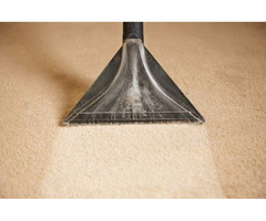 Meet Our Professional Carpet Cleaners In Parker, CO | free-classifieds-usa.com - 1