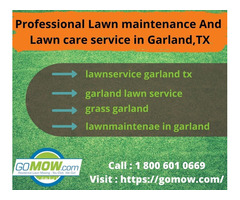 Professional Lawn maintenance and Lawn care service in Garland,TX  | free-classifieds-usa.com - 1