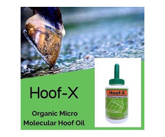 Hoof-X™ Organic Micro Molecular Hoof Oil | free-classifieds-usa.com - 1