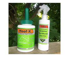 Hoof-X™ Organic Micro Molecular Hoof Oil | free-classifieds-usa.com - 2