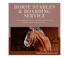 Horse Stables & Boarding Service | free-classifieds-usa.com - 1
