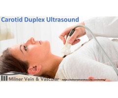 Carotid Duplex Ultrasound Treatment | Milner Vein & Vascular | free-classifieds-usa.com - 1