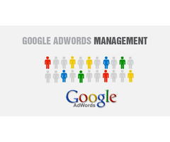 Google Adwords Management Company | free-classifieds-usa.com - 1
