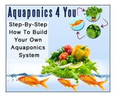 Learn How To Build Aquaponic system | free-classifieds-usa.com - 1