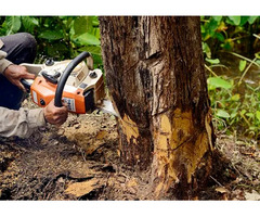 ISA Certified Tree Service North Charleston SC – Connor Tree Service | free-classifieds-usa.com - 1