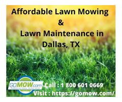 Affordable Lawn Mowing and Lawn Maintenance in Dallas, TX - Gomow | free-classifieds-usa.com - 1