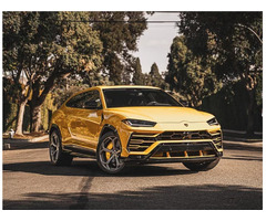 Lamborghini Urus for Rent in Los Angeles Starting From $699   | free-classifieds-usa.com - 1