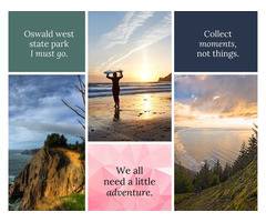 Best Oregon Coast Hikes| Oswald West State Park | free-classifieds-usa.com - 1