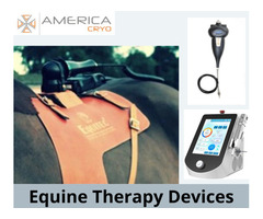 Equine Therapy Devices  | free-classifieds-usa.com - 1