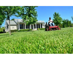 Springfield Tree Services & Lawn Care | free-classifieds-usa.com - 1