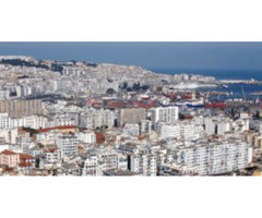 Algeria Travel Risk Management And Protective Services | free-classifieds-usa.com - 2