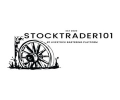 Livestock Animals For Sale | StockTrader101 | free-classifieds-usa.com - 1