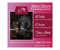 Best Facility For Your Equine Companion | Mane Haven Equestrian Center in Evansville  | free-classifieds-usa.com - 1