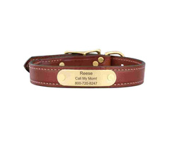 Leather Dog Collars with Nameplate | free-classifieds-usa.com - 1