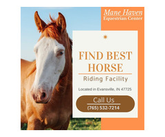 Find Best Horse Riding Facility in Evansville | free-classifieds-usa.com - 1